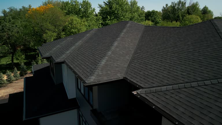 Best Gutter Installation and Repair  in Muleshoe, TX