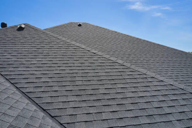 Best Roof Coating and Sealing  in Muleshoe, TX