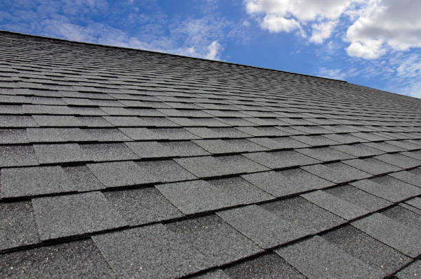 Best Roof Insulation Installation  in Muleshoe, TX